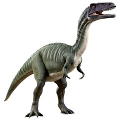 dinosaur on a transparent background
