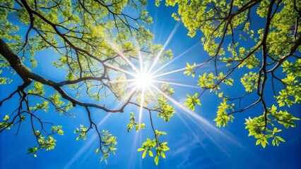 Obraz premium Sunbeams Through Spring Leaves, Low Angle, Tree Branches, Blue Sky, Sunlight, Green Leaves, Nature