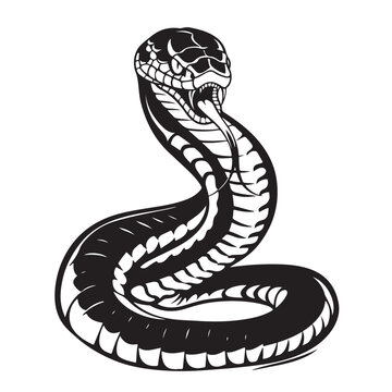 Black and white Snake vector image. illustration of a snake