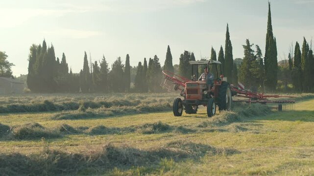 an agricultural tractor working in a field, creating rows of cut hay for agriculture in provence for the harvest