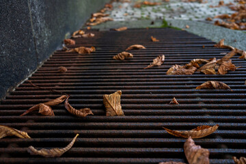 Trockenes Laub auf Lüftungsrosten 2
