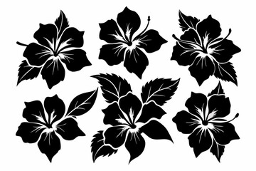 Hibiscuses silhouette set of decorative leaves. Flower vector illustration