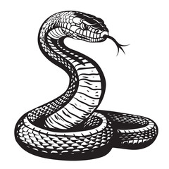 Chess Vector Images. Chess Tournament Vector  isolated on white background.