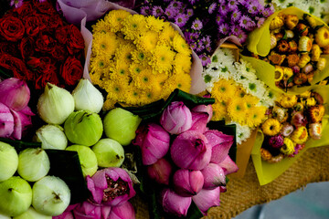 Flowers and leaves against the sun will be more beautiful, all magical from the rays of sunlight...