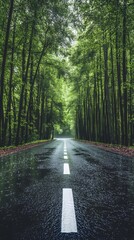 Obraz premium Rainy Tree Tunnel