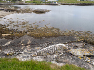 Escultura de caballa en Lochmaddy, North Uist, Islas Hébridas, Escocia, Reino Unido