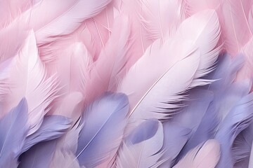 Obraz premium Soft feather close-up texture flat lay background