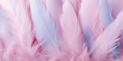 Fototapeta premium Soft feather close-up texture flat lay background
