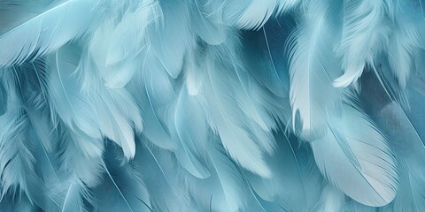 Fototapeta premium Soft feather close-up texture flat lay background