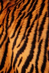 Fototapeta premium Tiger skin close-up texture flat lay background