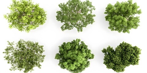 Obraz premium 3D Models of Green Bushes and Trees on a White Background