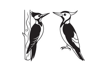 Pileated Woodpecker silhouette vector illustration, Pileated Woodpecker silhouette vector, Pileated Woodpecker silhouette Line art, Pileated Woodpecker image.