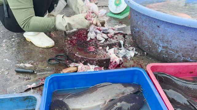 A woman's hands peel the skin off a frog while sitting on the floor at a market in Southeast Asia.