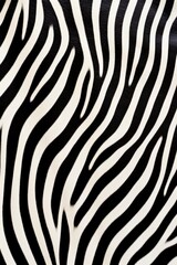 Fototapeta premium Zebra skin close-up texture flat lay background