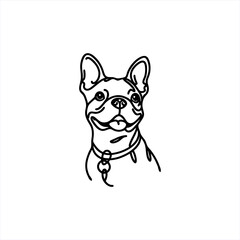 boston terrier in one line art monoline vector