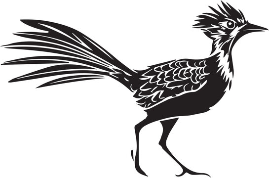 recommend clip art: Roadrunner vector black silhouette design for T-Shirt
