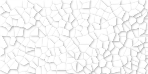 Abstract vector design 3d digital background white broken glass effect wall crack broken wall. Random lines decay grungy texture desolate distressed plates