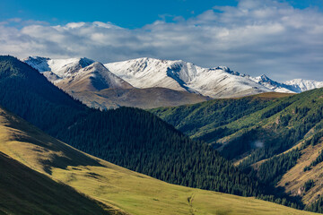 Fototapeta premium landscape in the mountains