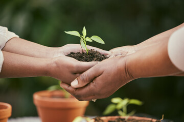 Unity, environment and hands with soil and plant for eco friendly, sustainable and ecology project. Support, gardening and people with fertilizer and green leaf sprout for community, ngo or charity.