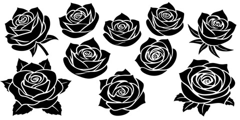 Set of decorative rose , different style, on white background