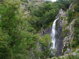 waterfall in the forest