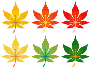 花のような紅葉の葉