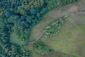 Wieża Ślimak, Wola Krogulecka, Małopolska, Poland, Lato 24 © Maciej G. Szling