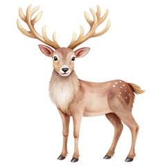 Fototapeta premium Watercolor illustration of a reindeer with impressive large antlers. Perfect for Christmas and winter-themed projects. Isolated on transparent background, png.