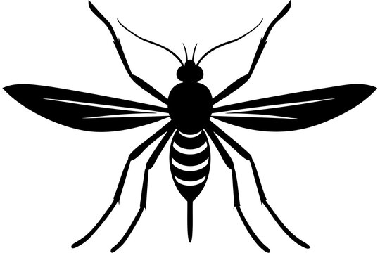recommend clip art: Mosquito silhouette vector illustration