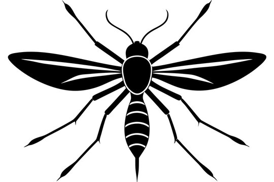 recommend clip art: Mosquito silhouette vector illustration