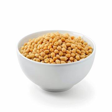 Medium shot of bowl of Dried ganoderma lucidum mushroom, isolated on a white background 