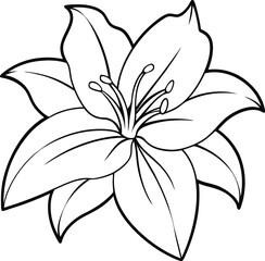 Detailed Flower Outline Creation