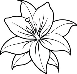 Detailed Flower Outline Creation