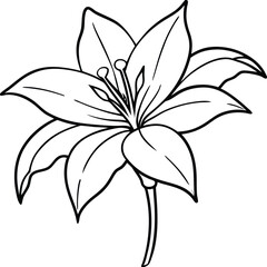 Detailed Flower Outline Creation