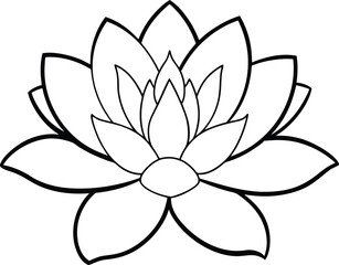 Fototapeta premium Detailed Flower Outline Creation