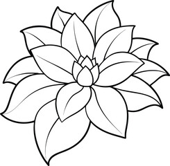 Fototapeta premium Detailed Flower Outline Creation