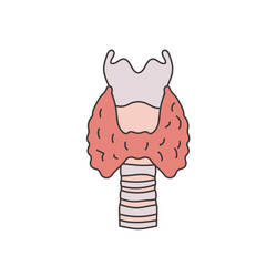 thyroid gland illustration