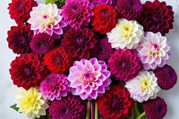 Vibrant Assorted Dahlia Flowers on Crisp White Background