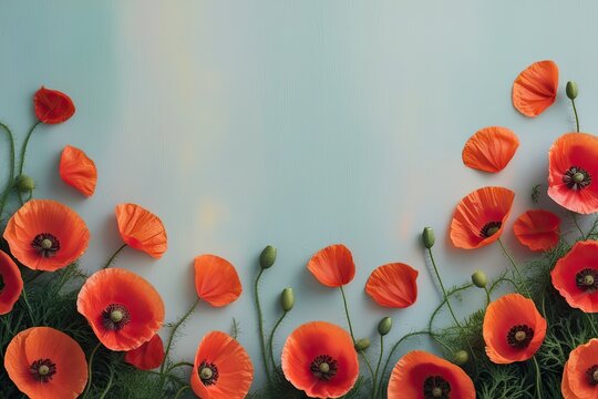 Lush Poppy Petals on a Tranquil Pastel Canvas for a Memorial Tribute