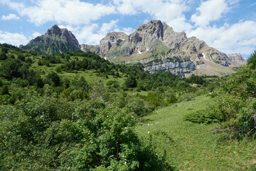 landscape in the mountains
