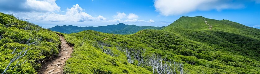 Fototapeta premium Scenic mountain hiking trail winding through lush forests, leading to breathtaking panoramic viewpoints, adventure and nature