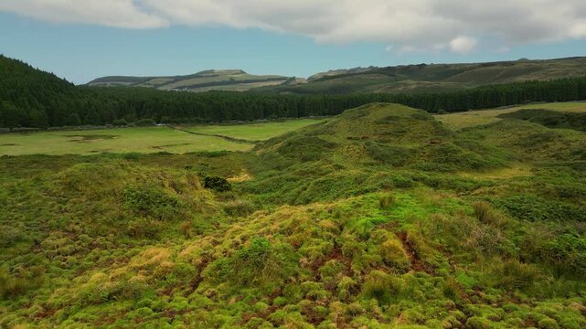 Nat&uuml;rliche Kuhweide auf der gr&uuml;nen, bergigen Azoren-Insel Terceira &ndash; Drohnenaufnahme in unber&uuml;hrter Natur