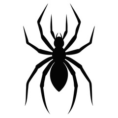 spider silhouette