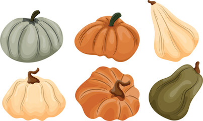 set of different pumpkins of different sizes and different colors, vector