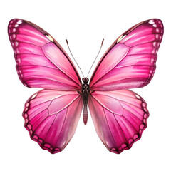 Obraz premium Beautiful pink butterfly isolated on transparent background