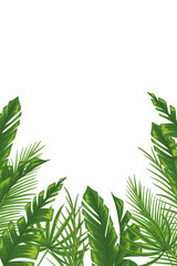 Tropical vertical frame with palm leaves for party invitations, sale posters and wedding cards. Not cropped elements isolated on a white background. Hand drawn vector illustration with a text place.