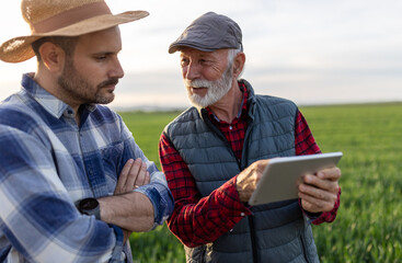 Farmers looking at tablet in green wheat field