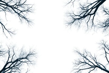 Fototapeta premium Bare Tree Branches Framing a White Background
