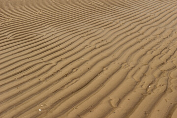 Sand ripples