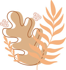 Boho Aesthetic Floral